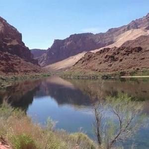 Meet your Posher, Carol